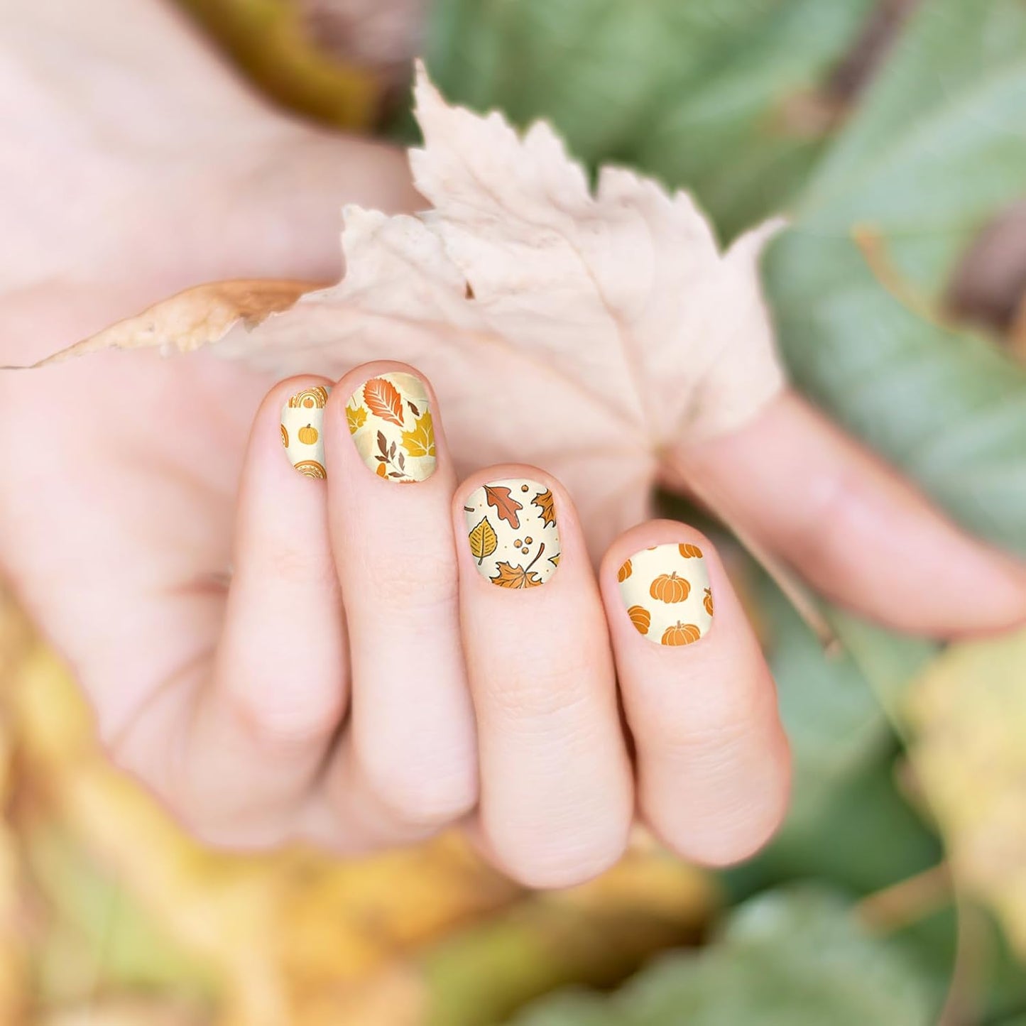 2 Sheet Fall Thanksgiving Nail Art Stamping Plate Kit Assorted Pumpkins Maple Leaves Autumn Blessing Collection Nail Art Plate for Holiday DIY Print Manicure Salon, 5.7 x 3.7inch-BrightBean Baby