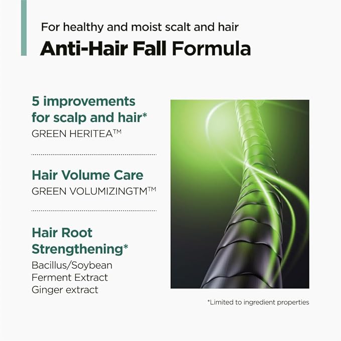 AMOS PROFESSIONAL The Green Tea Shampoo Refresh for Thinning Hair, Korean Shampoo for Oily Scalp l Deep Cleans, Strengthening Hair, All Hair Types, 16.9 fl.oz-BrightBean Baby