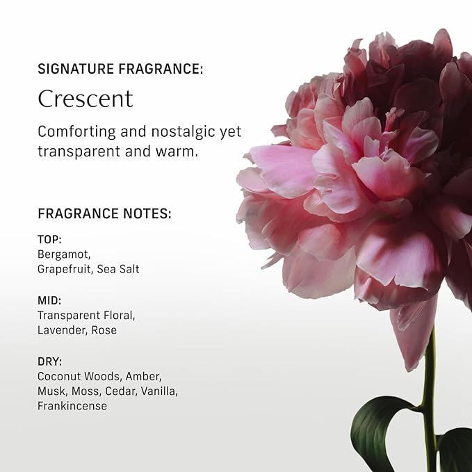 Nutrient Rich Body Cream. Crescent Fragrance Nourishing Moisturizer with Niacinamide and Banana Flower Extract. Deep Hydration, Thick Body Lotion, Dry Skin Cream for Women and Men, 8 Fl Oz-BrightBean Baby