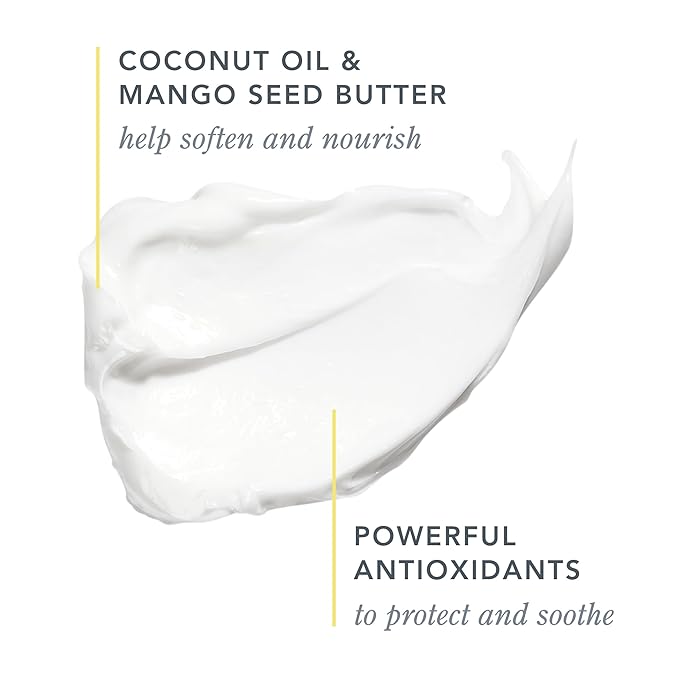 Beekman 1802 Coconut Cream Whipped Body Cream - Scented - 8 oz - Moisturizes, Soothes & Softens - With Coconut Oil & Mango Seed Butter - Microbiome Friendly - No Irritation - Good for Sensitive Skin-BrightBean Baby