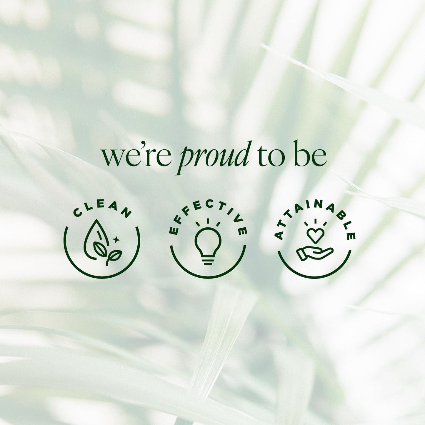 Tree of Life Beauty Hydrating Facial Serum - Pro Collagen Peptides with Argireline & Replexium - Anti Aging & Wrinkle Reduction - Dermatologist-Tested - 1 Fl Oz-BrightBean Baby