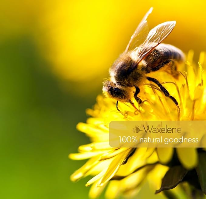 Waxelene Original Aerated Lip Balm Tin, Best Lip Balm Ever Organic Calming Multipurpose Ointment Baby Eczema Dry Sensitive Skin Body Face Moisturizer-BrightBean Baby