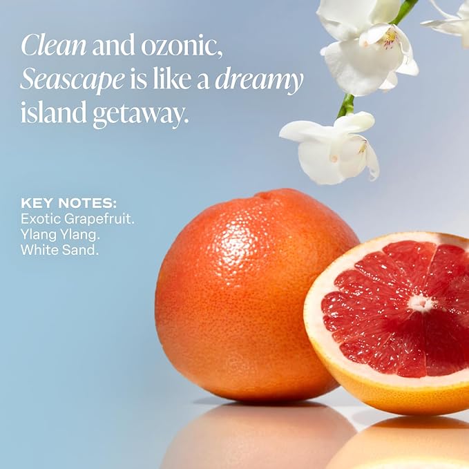 Saltair Body Lotion - 2 Pack Moisturizing Lotion For Dry Skin. Seascape Scented Hydrating Body Cream with Nourishing Moisturizer Formula. Skin Care for Women and Men. 2x 10oz Tubes-BrightBean Baby