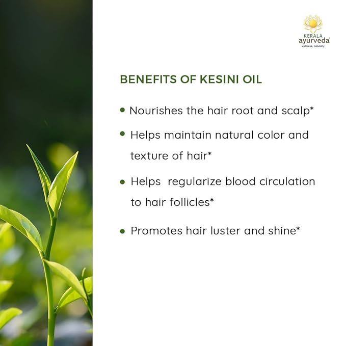 Kerala Ayurveda Kesini Hair Oil (3.38 fl oz) | Herbal Blend with Bacopa, Hibiscus, Amla, Indigo, Castor & Coconut Oil | Deeply Nourishes Dry Scalp & Strengthens Hair | Paraben-Free, Mineral Oil-Free-BrightBean Baby