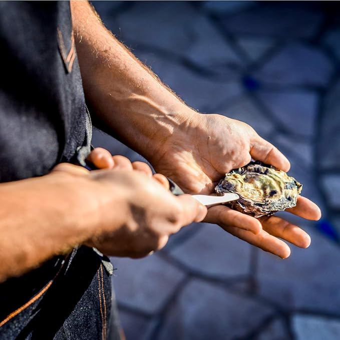 Rockland Guard Oyster Shucking Knife - Oyster Knife Shucker for Opening Clams, Scallops, Shellfish - Stainless Steel Blade, Non-Slip Ergonomic Handle - Kitchen Tool for Chefs, Cooks - Set of 4 Knives