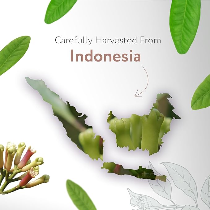 HBNO Organic Clove Bud Essential Oil - 4 oz (120ml) - USDA Certified Organic Clove Bud Essential Oil, Soap Making, DIY, Fragrances, Diffuser-BrightBean Baby