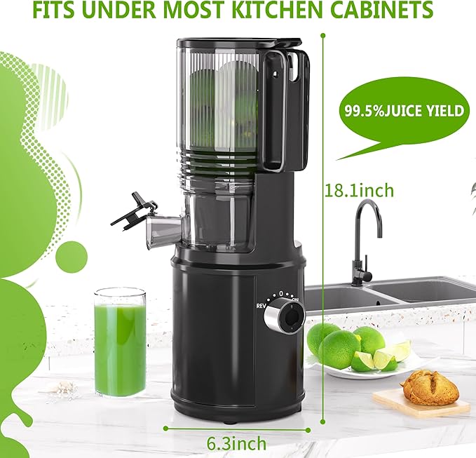 Cold Press Juicer – 6.5" Extra Large Feed Chute Fit Hands-Free Electric Masticating Juicer Machine, 350W Slow Masticating Juicer Machine for Whole Fruit and Vegetables – Easy Cleanup & Assembly