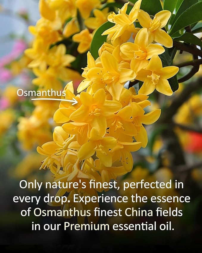 Pure Osmanthus Essential Oil, 100% Pure Natural Osmanthus Essential Oil, Premium Grade Essential Oils for Diffusers for Home, Skin, Care Massage, Soap Making, Aromatherapy, 4 Fl Oz | 120ml-BrightBean Baby