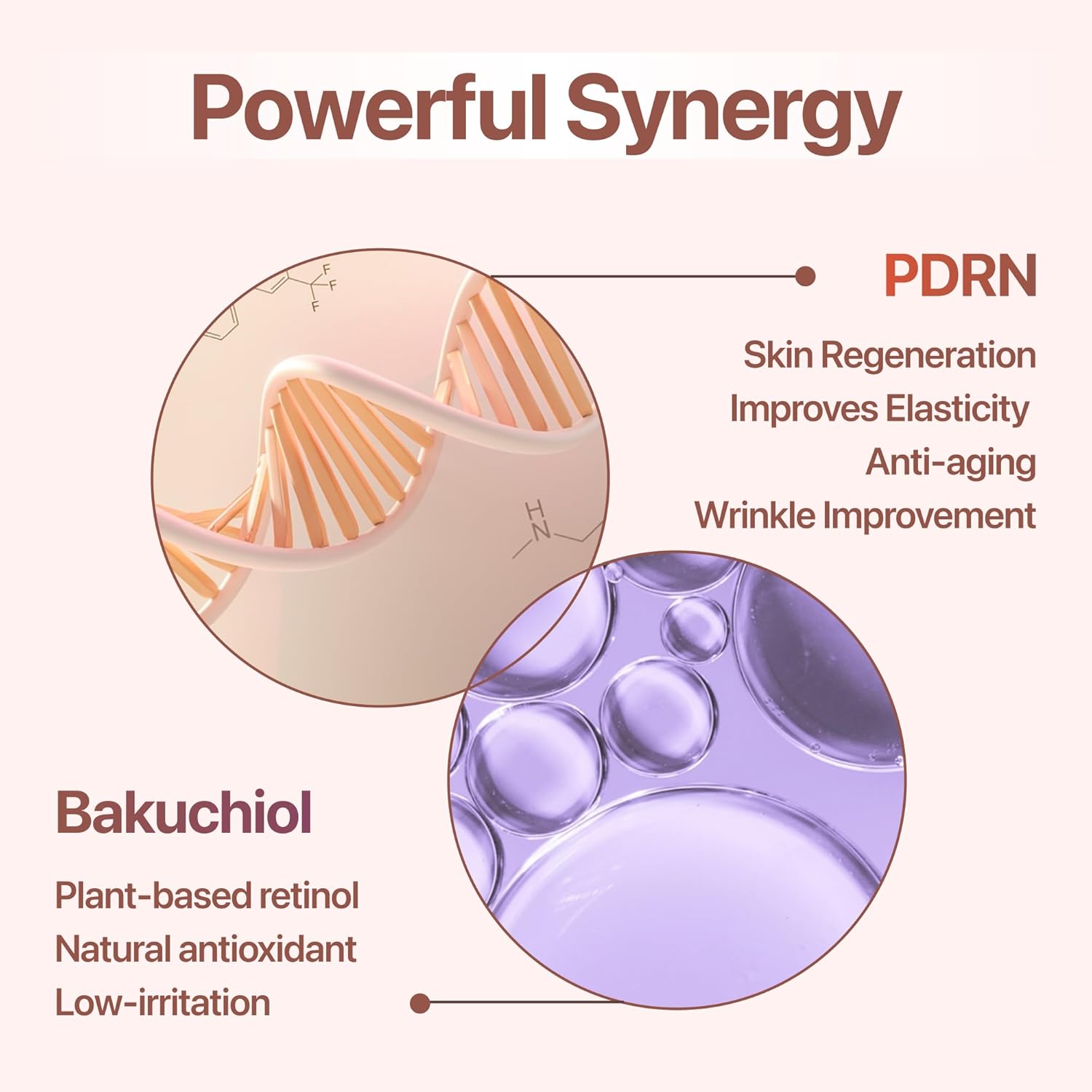 PDRN Cream with Salmon DNA, Ceramide NP, Collagen, Plant Based Bakuchiol, Moisturizing Bifida and Hyaluronic, CUSKIN, Korean Skin Care PDRN Cream, 50 ml (1.69 fl. oz.)-BrightBean Baby