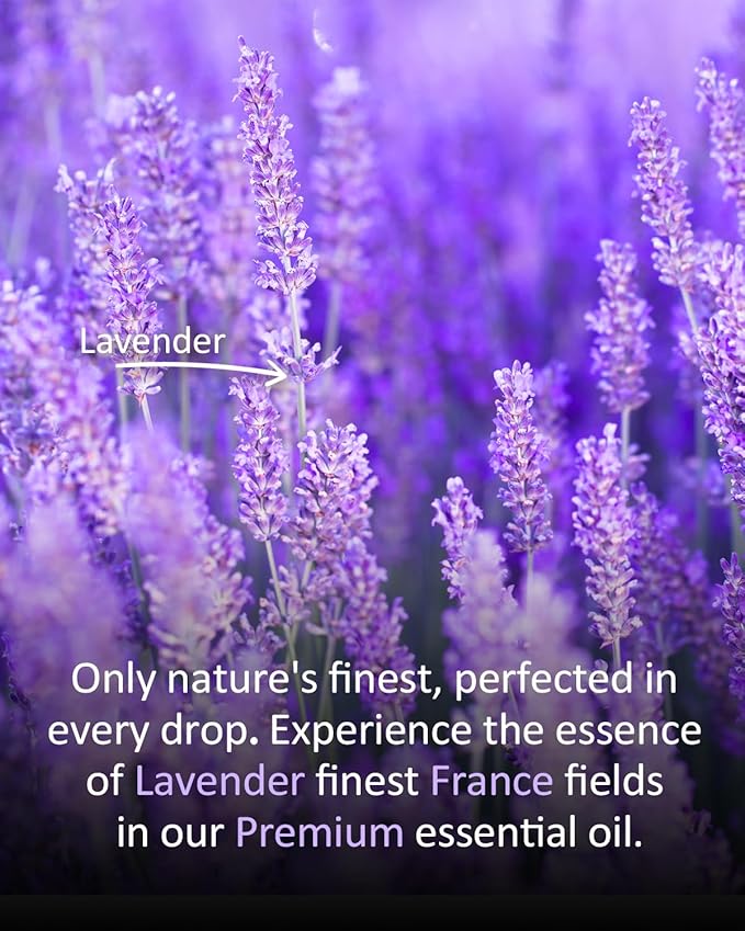 Premium Lavender Essential Oil for Relaxation DIY Diffusers Candles Nails Soaps Shampoo Scented Oil 4 Fl Oz-BrightBean Baby