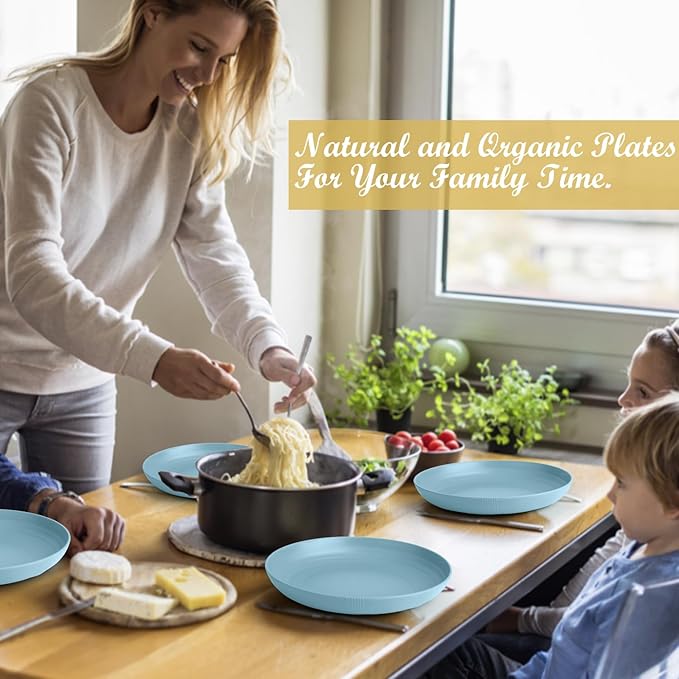 Wrova Wheat Straw Plates - 10 Inch Unbreakable Deep Dinner Plate Set of 8 - Dishwasher & Microwave Safe Plastic Plates Reusable - Lightweight Plate for Kitchen,Outdoor, RV. (Light Blue)