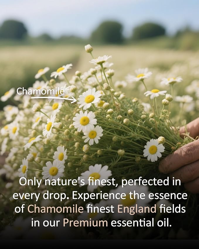 Pure Chamomile Essential Oil, 100% Pure Natural Chamomile Essential Oil, Premium Grade Essential Oils for Diffusers for Home, Skin, Care Massage, Soap Making, Aromatherapy, 4 Fl Oz | 120ml-BrightBean Baby