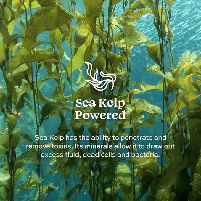 Aleavia Grapefruit Lemongrass Prebiotic Body Lotion – Lightly Scented, All-Natural Moisturizing Body Lotion with Organic Essential Oils – 12 Oz-BrightBean Baby