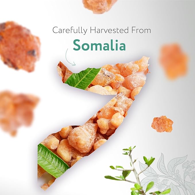 HBNO Myrrh Essential Oil - 1/3 oz (10 ml) Travel Size - Natural Myrrh Oil - Perfect for Cleaning, Aromatherapy, DIY, Soap and Diffuser - Myrrh Essential Oils-BrightBean Baby