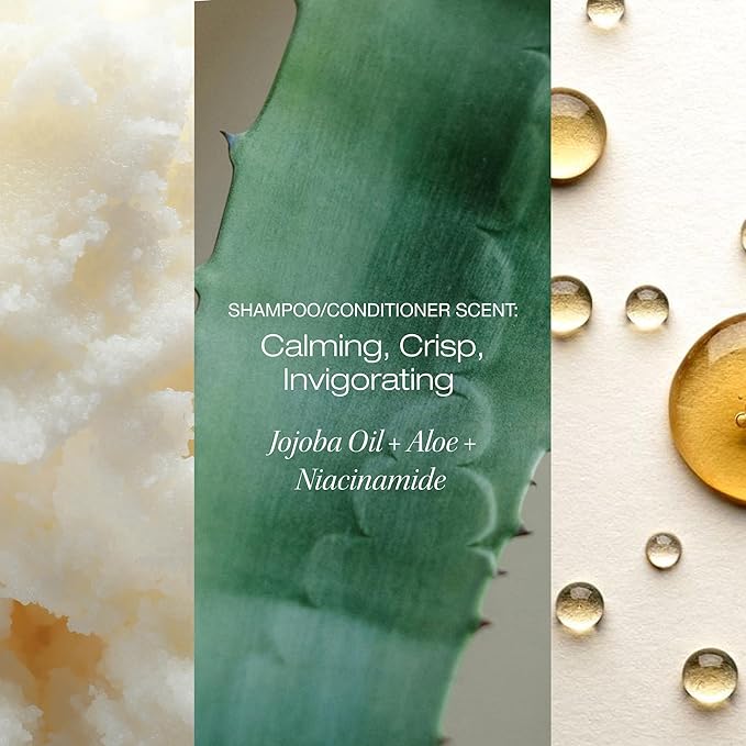 Raw Sugar Scalp Restore Hair Care Bundle, Shampoo and Conditioner Set with Jojoba, Aloe and Niacinamide, Formulated without Sulfates + Parabens-BrightBean Baby