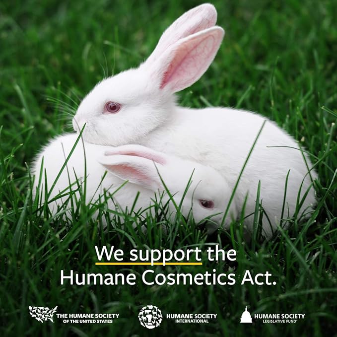 US Organic 100% Pure Cinnamon Leaf Essential Oil - USDA Certified Organic, Steam Distilled - W/Euro Dropper (More Size Variations Available) (15 ml / .5 fl oz)-BrightBean Baby