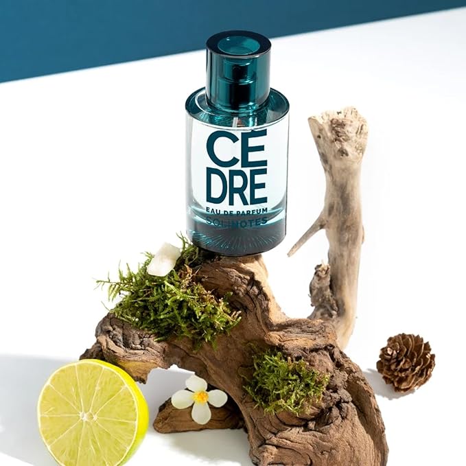SOLINOTES Cedarwood Perfume for Men - Eau De Parfum | Refined Woody and Soothing Fragrance - Made in France - Vegan - 1.7 fl.oz-BrightBean Baby