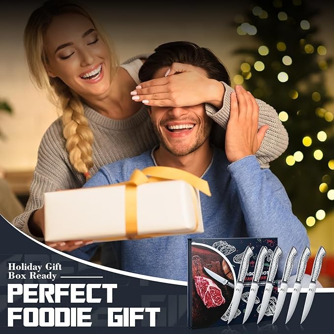 DRAGON RIOT Steak Knives Set of 6 Serrated Edge Steak Knife Set Japanese Stainless Steel Dinner Knife Diswasher Safe Steak Knives with Gift Box