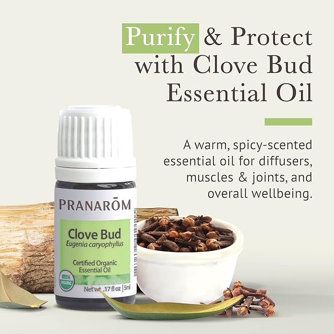 Pranarom USDA Certified Organic Clove Essential Oil (5ml), 100% Pure Undiluted Therapeutic Grade from Sri Lanka & Madagascar for Aromatherapy, Diffuser, Immune Support, DIY Cleaning, Warm Scent-BrightBean Baby