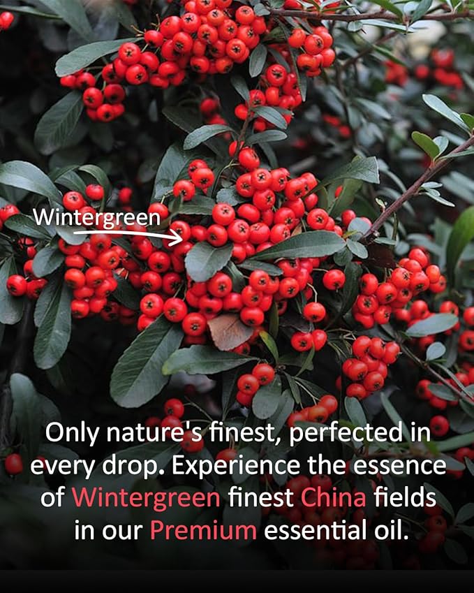 Pure Wintergreen Essential Oil, 100% Pure Natural Wintergreen Essential Oil, Premium Grade Essential Oils for Diffusers for Home, Skin, Care Massage, Soap Make, Aromatherapy, 4 Fl Oz | 120ml-BrightBean Baby