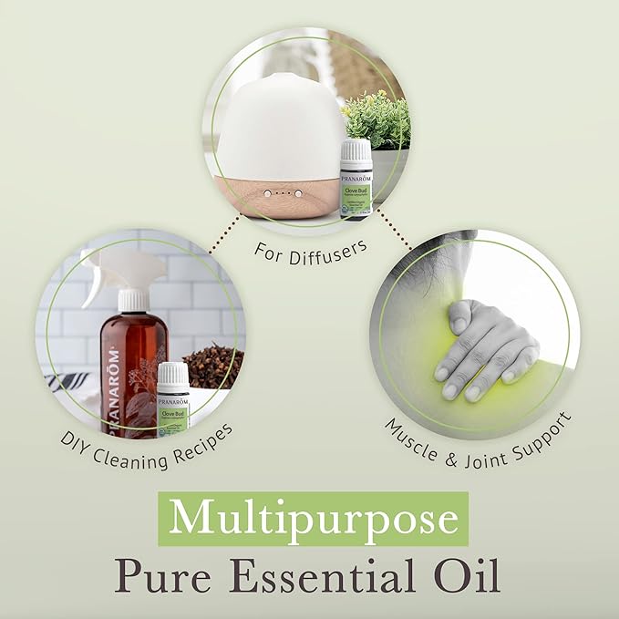 Pranarom USDA Certified Organic Clove Essential Oil (5ml), 100% Pure Undiluted Therapeutic Grade from Sri Lanka & Madagascar for Aromatherapy, Diffuser, Immune Support, DIY Cleaning, Warm Scent-BrightBean Baby