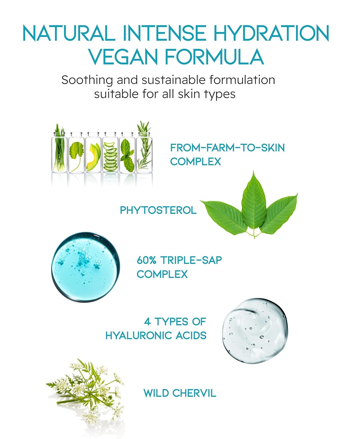 BEYOND Phyto Aqua Moisture Cream (Face Cream, 1.7fl oz) – Vegan Korean Skin Care for 100-Hour Hydration & Skin Barrier by LG Beauty-BrightBean Baby