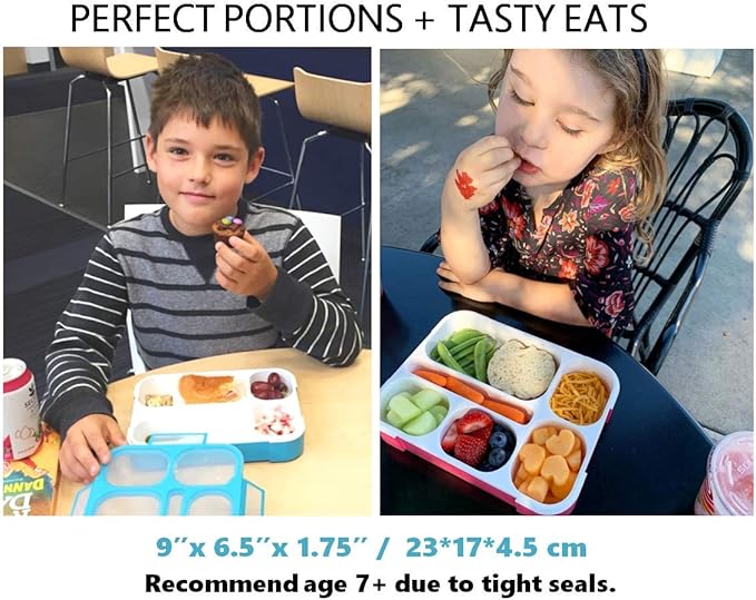 Bento Lunch Boxes with Bag and Ice Packs | Bento-Box Insulated Bag Ice Cold Pack Set of Two for Kids Adults | Value Container Set for School Kid Lunches, 6 Compartments BPA Free, Blue & Pink