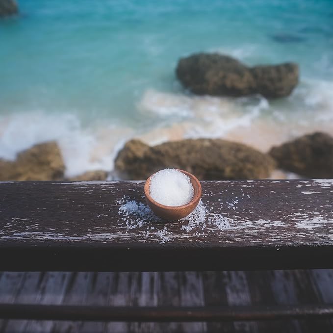 LA Salt Co.'s 100% Pure and Natural Dead Sea Salt Bulk 55 lb bag, Fine Grain-BrightBean Baby