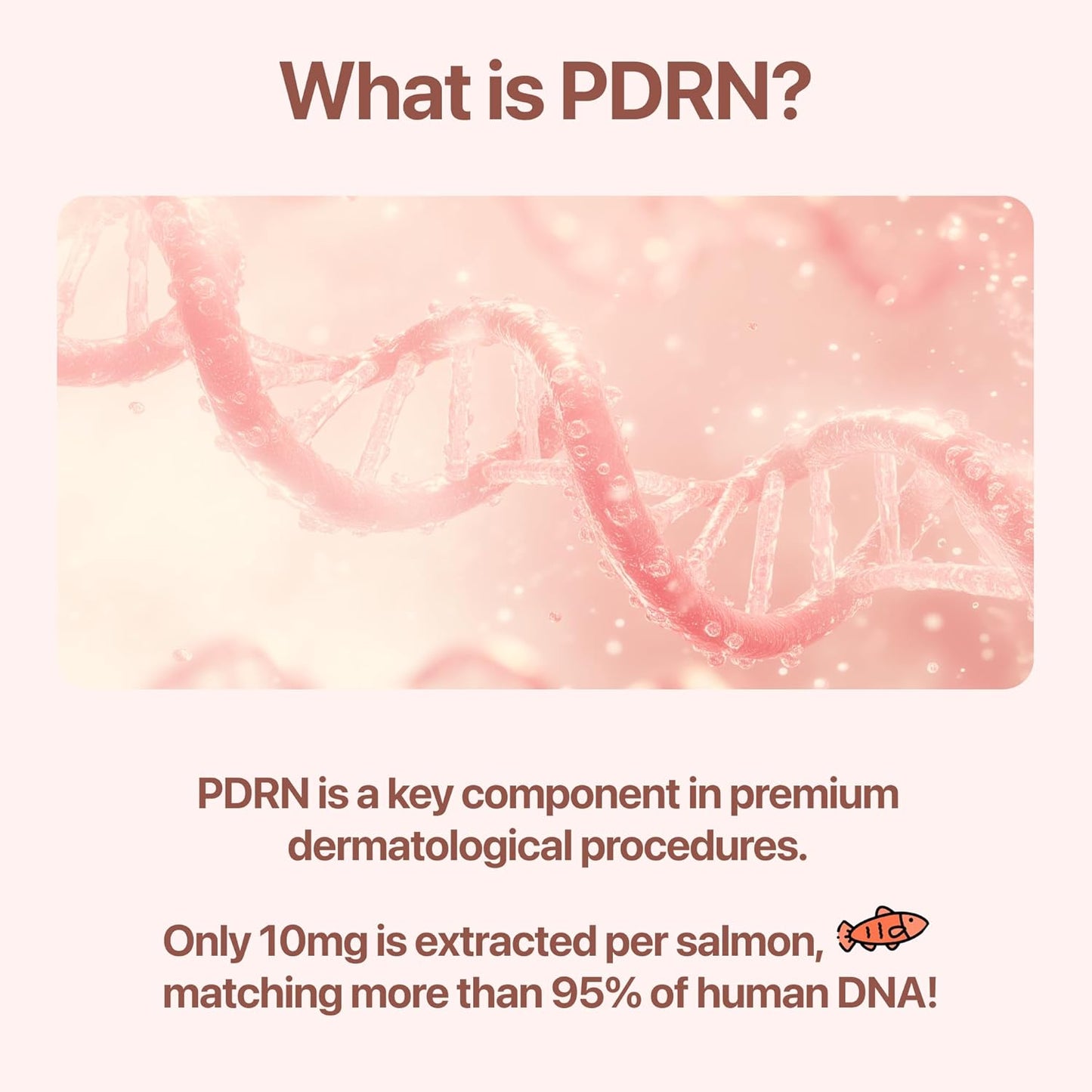 PDRN Cream with Salmon DNA, Ceramide NP, Collagen, Plant Based Bakuchiol, Moisturizing Bifida and Hyaluronic, CUSKIN, Korean Skin Care PDRN Cream, 50 ml (1.69 fl. oz.)-BrightBean Baby