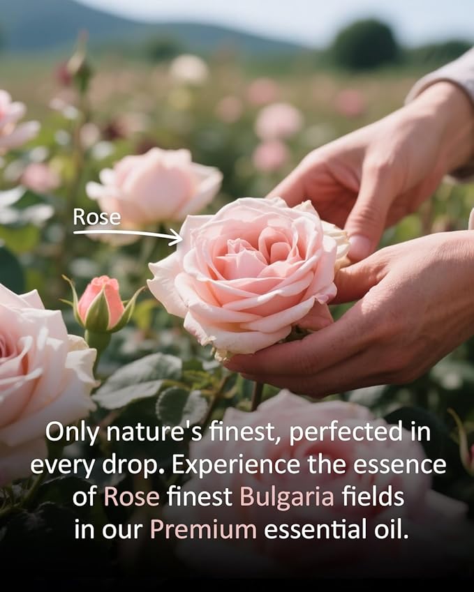 Pure Rose Essential Oil, 100% Pure Natural Rose Essential Oil, Premium Grade Essential Oils for Diffusers for Home, Skin, Care Massage, Soap Making, Aromatherapy, 4 Fl Oz | 120ml-BrightBean Baby