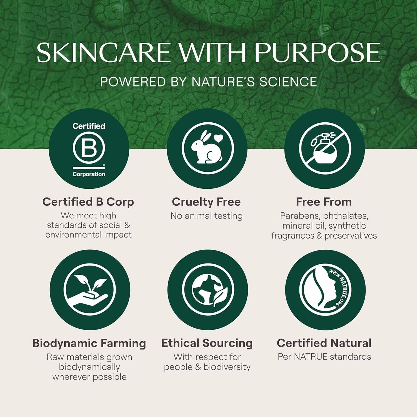 Weleda Skin Food Face Care Nourishing Night Cream, 1.3 Fluid Ounce, Plant Rich Moisturizer with Sacha Inchi Oil, Cica and Squalane-BrightBean Baby