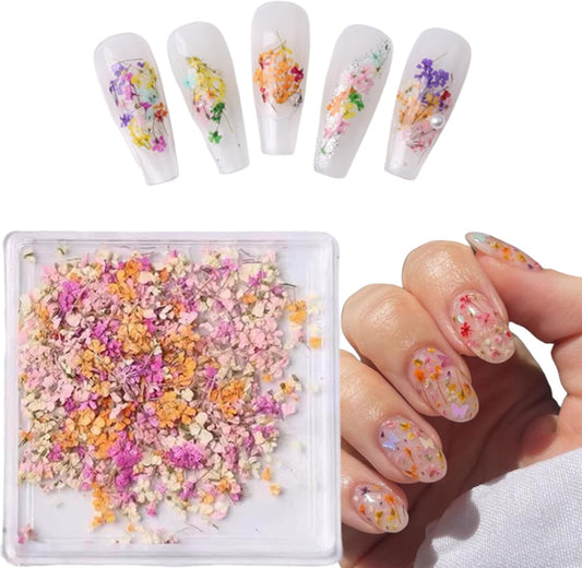 1 Boxes Dried Flowers for Nail Art,Colorful Dry Flowers Mini Real Natural Flowers Nail Stickers DIY Mini Mix Flower Petals Nail Art Supplies for Summer Acrylic Nails Design Manicure Accessories-BrightBean Baby