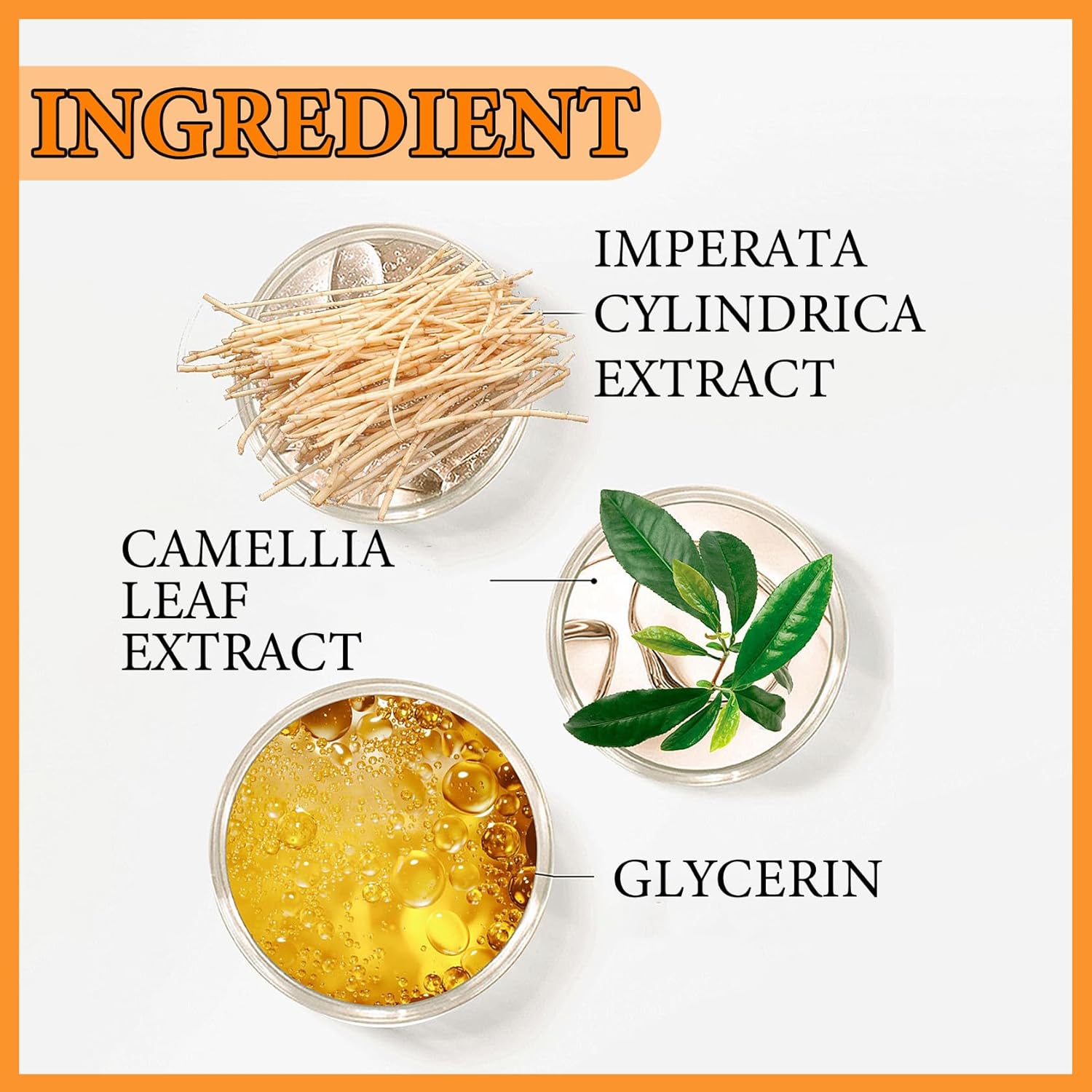 Sunscreen Setting Powder,Brush Setting Makeup SPF 50 PA++ for All Skin,Moisturizing & Lightweight Loose Face Powder with Sunscreen Brush,Soft Matte Finish Long Lasting Oil Control Make up-BrightBean Baby