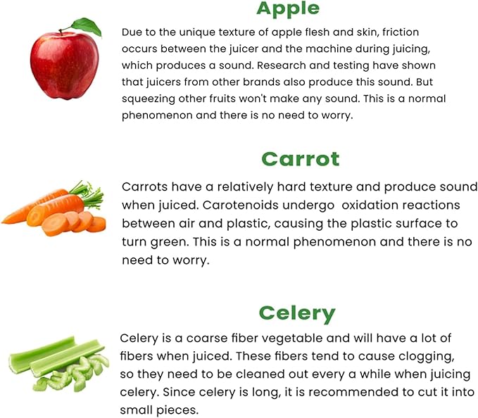 Cold Press Juicer, Masticating Juicer with Large Feed Chute Fit Whole Fruits & Vegetables，Stainless Steel Slow Masticating Juicer Easy to Clean, 99.6% Juice Purity, Metallic Silve