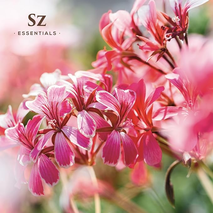 High Altitude Geranium Essential Oil – 100% Pure & Natural, Grown in The High-Altitude – Aromatherapy, Home Use – Therapeutic Grade & Vegan – 5 mL-BrightBean Baby