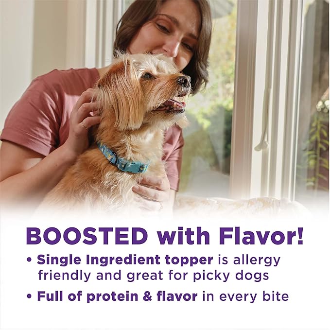 Wellness Bowl Boosters Bare, Dog Food Topper for Small, Medium, & Large Breeds, Grain Free, Natural, Freeze Dried, Beef, 4 Ounce Bag (Pack of 1)