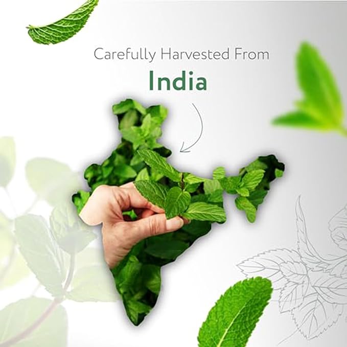 HBNO Spearmint Essential Oil - Huge 4 oz (120ml) Value Size - Natural Spearmint Oil - Perfect for Cleaning, Aromatherapy, DIY, Soap & Diffuser -BrightBean Baby