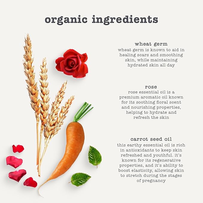 Erbaviva Stretch Mark Oil -Travel size 2 Fl Oz-BrightBean Baby