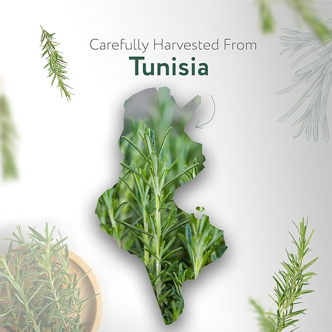 HBNO California Bottled Organic Rosemary Essential Oil 1 fl oz (30ml) - USDA Certified Organic Rosemary Essential Oil for Aromatherapy, Soap Making, DIY, Fragrances, Diffuser-BrightBean Baby