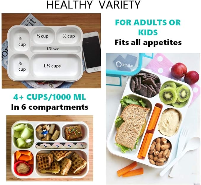 Bento-Box with Bag and Ice Pack Set. Lunch Boxes Snack Containers for Kids Boys Girls Adults. 6 Compartments, Leakproof Portion Container Boxes Insulated Bags for School Lunches, Blue