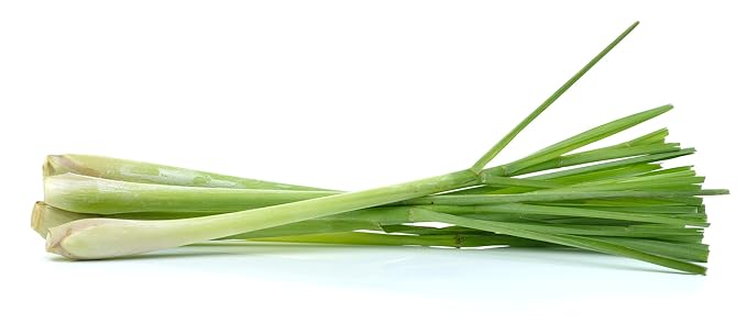 US Organic 100% Pure Lemongrass Essential Oil, USDA Certified Organic, Extracted by Steam Distillation Method, for Hair, Nail Polish Remover, Bees Attraction, and More. 10 ml-BrightBean Baby