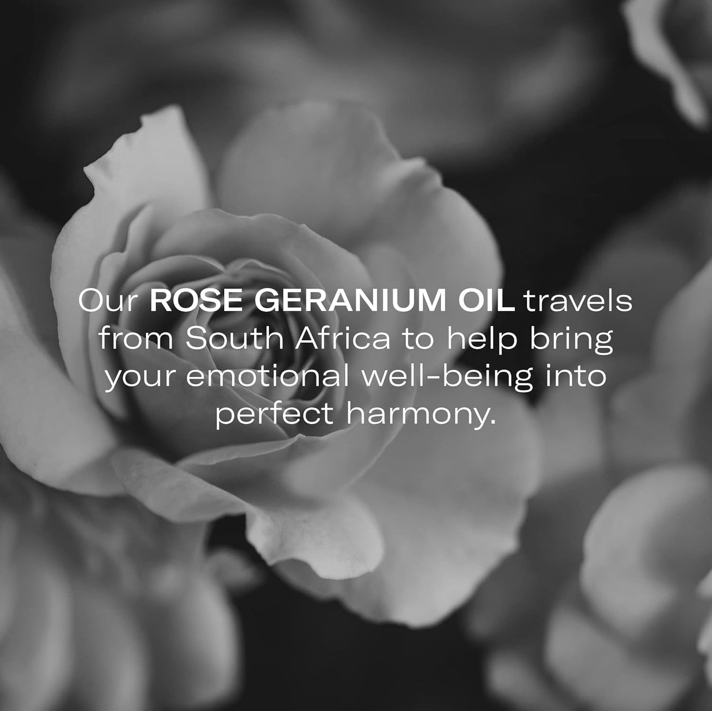 Odacité Hydrating Serum Concentrate with Pomegranate & Rose Geranium - for Hydration & Glow - Hydrating & Nourishing Anti-Aging Facial Oil Concentrate Enhance Skins Moisture Barrier - 0.17 fl. oz-BrightBean Baby