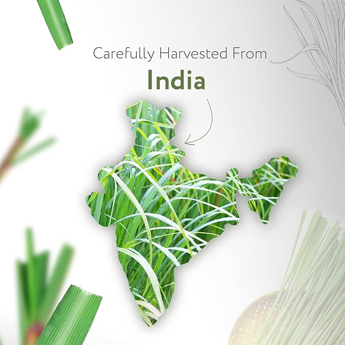 HBNO Organic Lemongrass Essential Oil - Huge 4 oz (120ml) Value Size - USDA Certified Organic Lemongrass Essential Oil, Perfect for Aromatherapy, Soap Making, DIY, Diffuser-BrightBean Baby