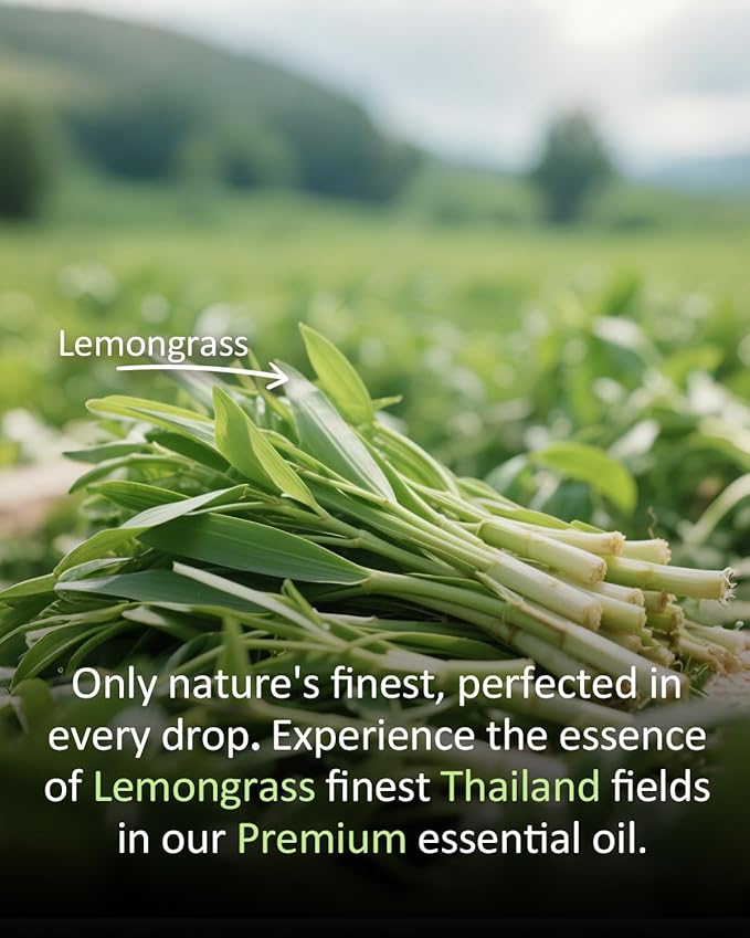 Pure Citronella Essential Oil, 100% Pure Natural Citronella Essential Oil, Premium Grade Essential Oils for Diffusers for Home, Skin, Care Massage, Soap Making, Aromatherapy, 4 Fl Oz | 120ml-BrightBean Baby