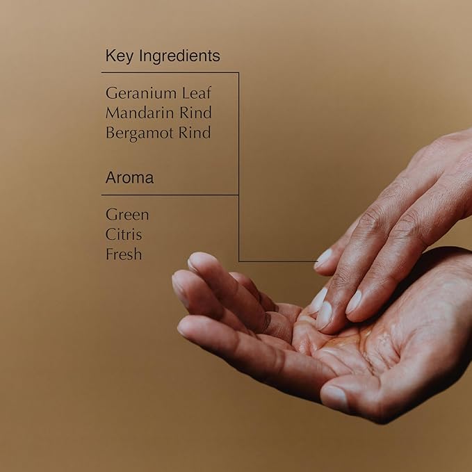 Aesop Geranium Leaf Body Cleanser - Invigorating Gentle Cleansing Gel - Green, Citrus, Fresh - 16.9 fl oz-BrightBean Baby