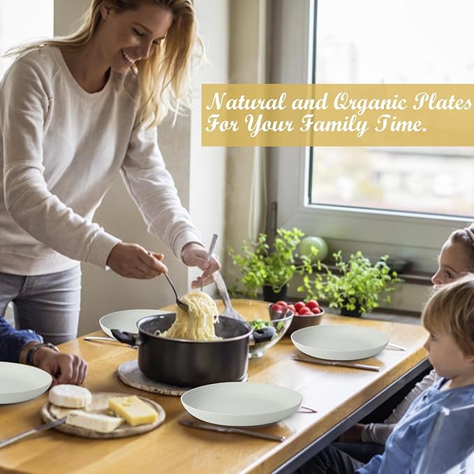 Wrova Wheat Straw Plates - 9 Inch Unbreakable Dinner Plates Set of 8 - Dishwasher & Microwave Safe Plastic Plates Reusable for kitchen and camping (light grey)