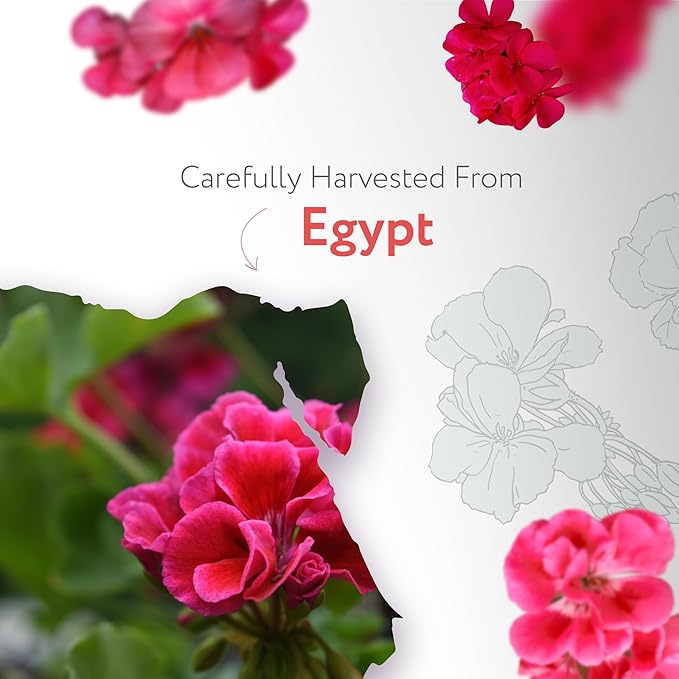 HBNO Organic Geranium Essential Oil - 1 oz (30ml) - USDA Certified Organic Geranium Essential Oil for Aromatherapy, Soap Making, DIY, Fragrances, Diffuser.-BrightBean Baby