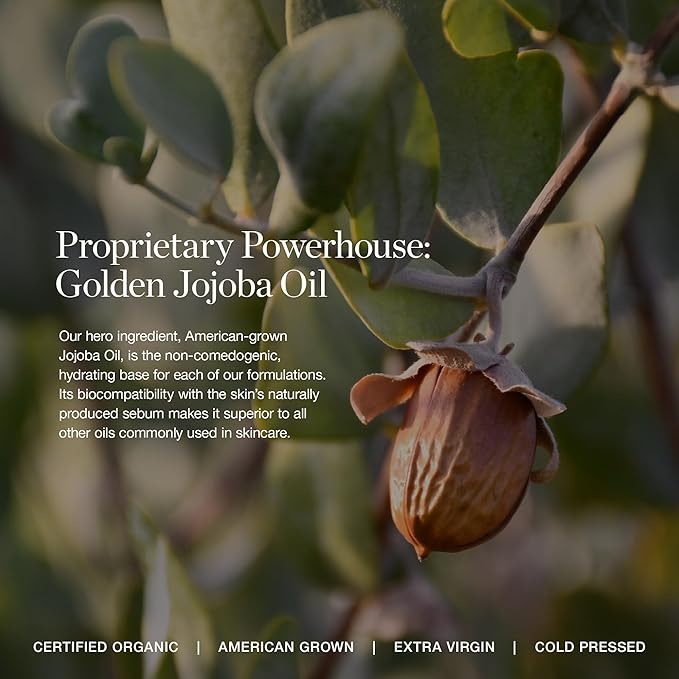 Ogee Complexion Perfecting Liquid Foundation - Lightweight Tinted Moisturizer For Face (Chestnut 13.75W - Deep Auburn, Rich-Golden Undertones) - with Vitamin C & Jojoba Oil - Certified Organic-BrightBean Baby