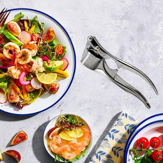 1 Pack Garlic Press, Heavy-Duty Rust-Resistant Garlic Mincer & Crusher with Ergonomic Handle, Easy Squeeze, Easy Clean, Dishwasher Safe