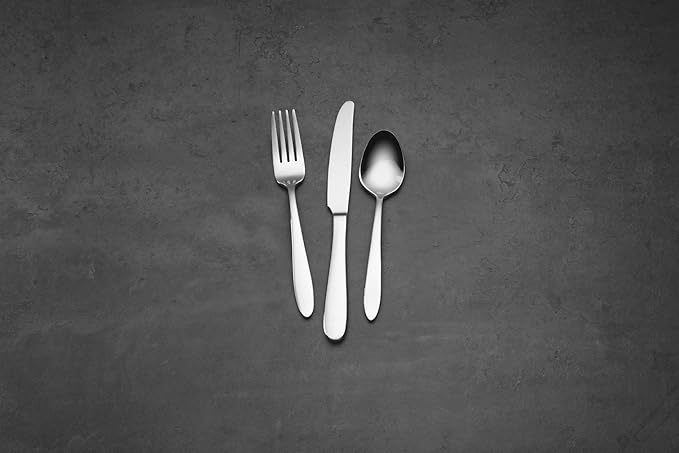 Oneida 895271 Mooncrest 12 Piece Everyday Flatware Set